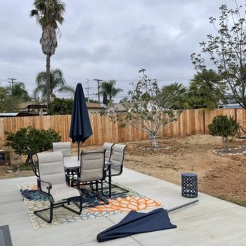 West Valley Tree Service - Before - Tree Services Near Me