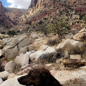 First Creek Trail - Hiking Near Me - Las Vegas, Nevada