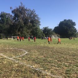 P A Walsh Elementary School - On the field
