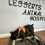 Photo of Lefferts Animal Hospital