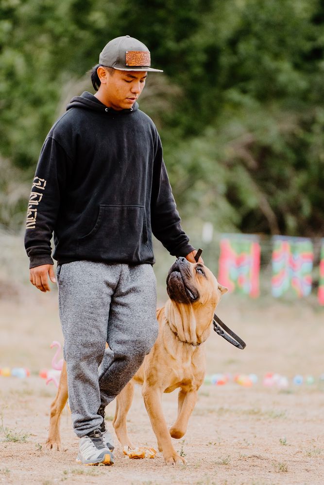 5M Dog Training - pet boarding facility in Las Vegas, NV