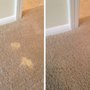 Colorful Carpets