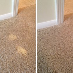 Colorful Carpets - Bleach spot repair  Spot dyeing