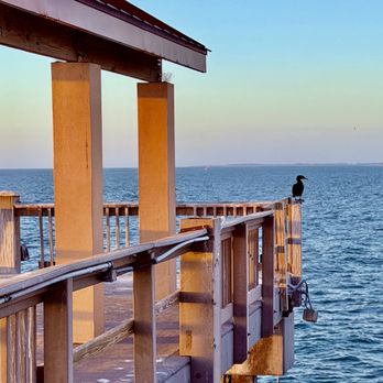 Pier 60 Clearwater - Beaches Near Me - Clearwater, Florida Pier 60 Clearwater - Beaches Near Me - Clearwater, Florida