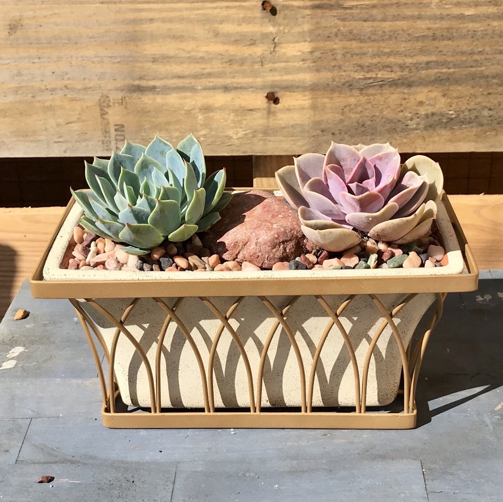 Greenland Nursery 2019 All You Need to Know BEFORE You Go (with