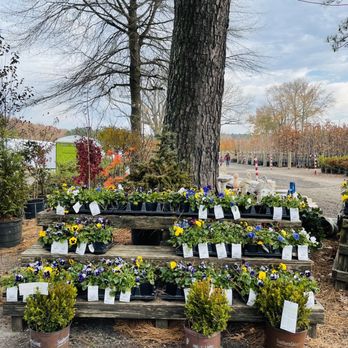 Greenbrier Farms - Flowers for sale - Nurseries & Gardening Near Me - Chesapeake, Virginia