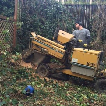 J & J Stump Grinding - Tree Services Near Me - Renton, Washington