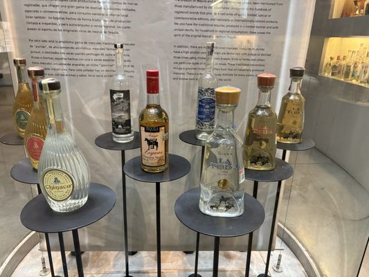 Museum of Tequila and Mezcal by null