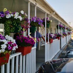 Going-To-The-Sun Inn & Suites - Front of Property