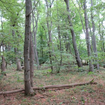 Kullaleden SL 5 Kullen - Arild - nice forest - Hiking Near Me - Mölle, M Kullaleden SL 5 Kullen - Arild - nice forest - Hiking Near Me - Mölle, M