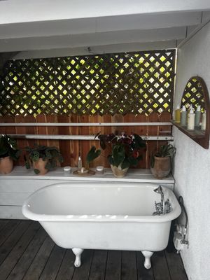 OSEA Skincare Studio by null