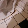 Barrington Plumbing Co