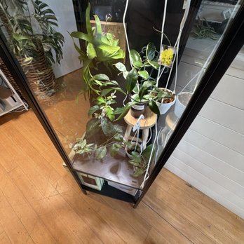 7 Dees - Nurseries & Gardening Near Me - Tigard, Oregon