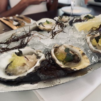 Solera - Oysters - Lounges Near Me - Honolulu, Hawaii Solera - Oysters - Lounges Near Me - Honolulu, Hawaii