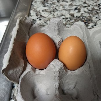 Safeway - two eggs in a carton - Grocery Near Me - Tucson, Arizona
