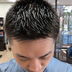 Attractions Salon