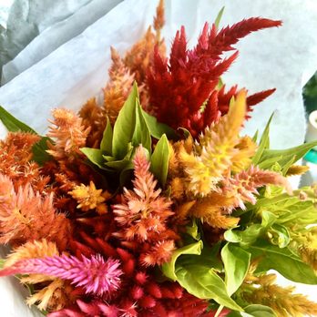 Union Square Greenmarket - Flowers from Luna Family Farm on Saturdays - Farmers Market Near Me - New York, New York Union Square Greenmarket - Flowers from Luna Family Farm on Saturdays - Farmers Market Near Me - New York, New York