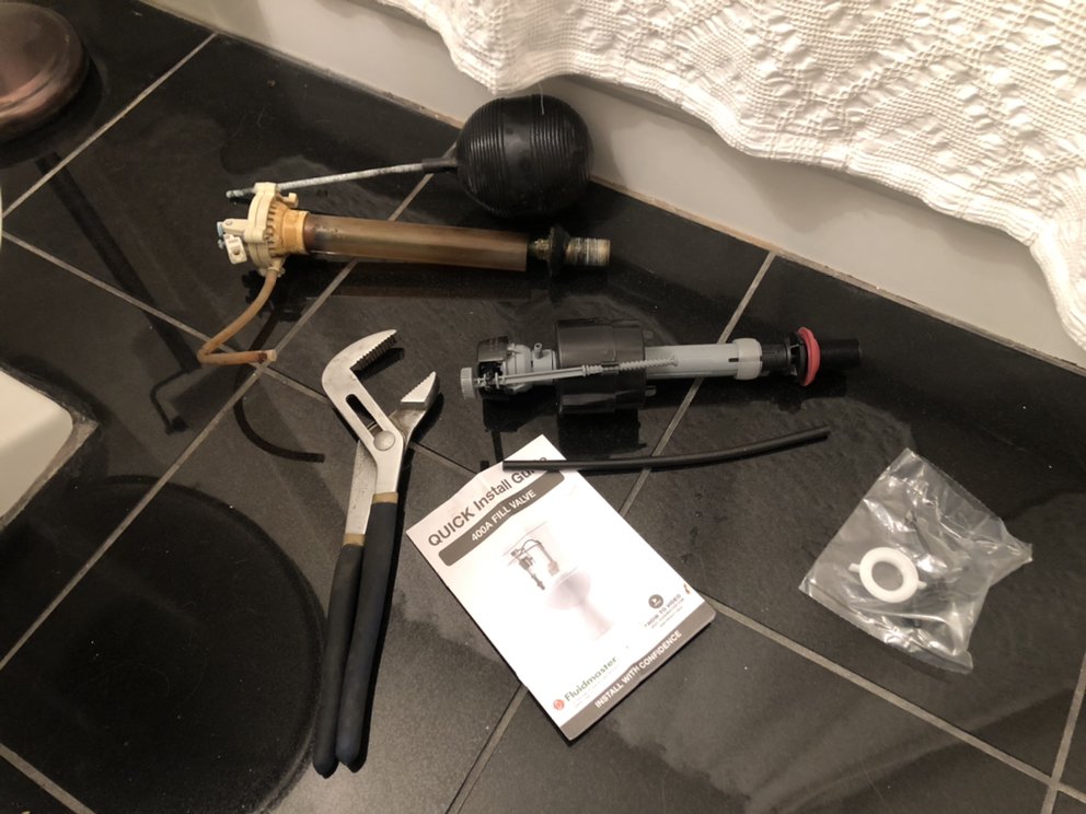 Slide of Boston Paint Brush