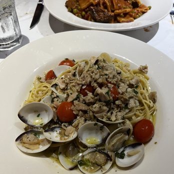 Caffe Luna Rosa - Linguini Vongole and Eggplant Rollatini - Italian Near Me - Delray Beach, Florida