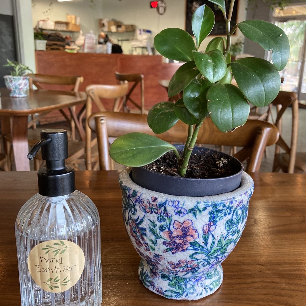 Cilantro Tacos - Table setting - Tacos Near Me - Newberry, Florida Cilantro Tacos - Table setting - Tacos Near Me - Newberry, Florida