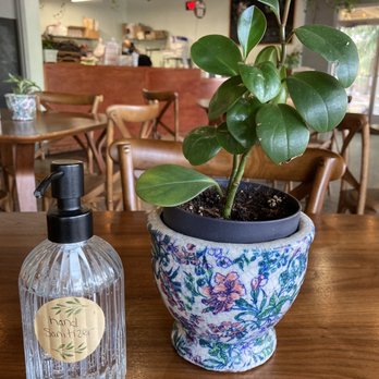 Cilantro Tacos - Table setting - Tacos Near Me - Newberry, Florida Cilantro Tacos - Table setting - Tacos Near Me - Newberry, Florida