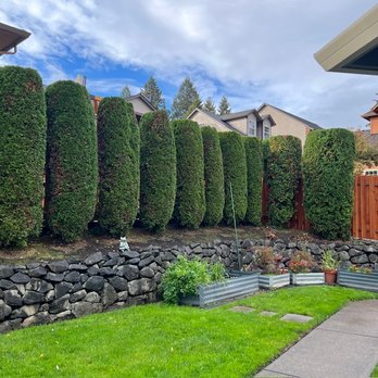 Roscoe Brothers Tree Service - Tree Services Near Me Roscoe Brothers Tree Service - Tree Services Near Me