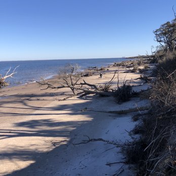 Big Talbot Island State Park - Boneyard Beach - Parks Near Me - Jacksonville, Florida Big Talbot Island State Park - Boneyard Beach - Parks Near Me - Jacksonville, Florida