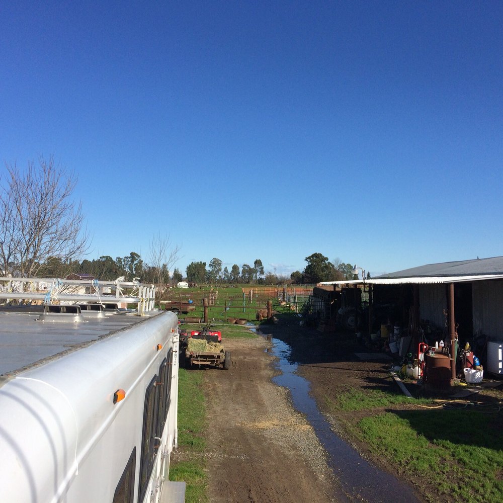 JB Ranch - Horseback Riding Near Me - Elverta, California