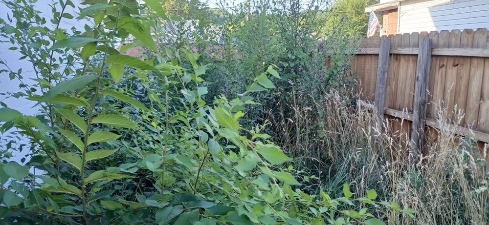 Slide of Smittys Do It all