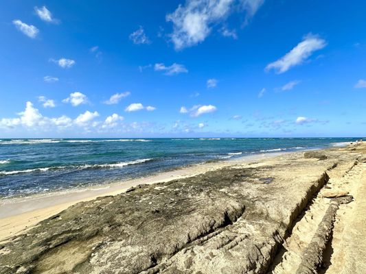 Diamond Head Beach Park by null
