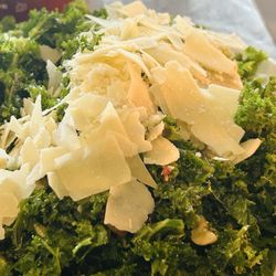 Dog Watch Mystic - Kale salad