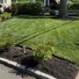 Photo of Lawn Buddies