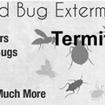 Techno Pest Management - Pest Control Near Me