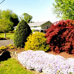 Jobe's Landscape