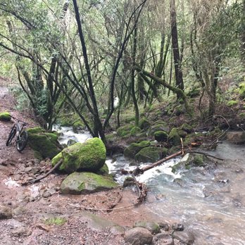 Trione-Annadel State Park - Crossed stream by MTB. Feet wet! - Parks Near Me - Santa Rosa, California Trione-Annadel State Park - Crossed stream by MTB. Feet wet! - Parks Near Me - Santa Rosa, California