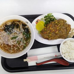 Ikkyu - Katsu udon combo (with extra curry $3)