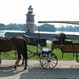 Photo of Kutsch- Hochzeitsfahrten Moritzburg