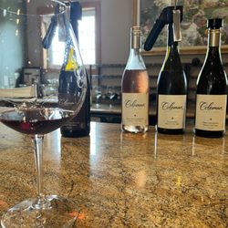 Coleman Vineyard - Enjoying a flight of wine at the bar
