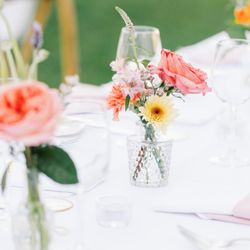 Strelitzia Flower Company