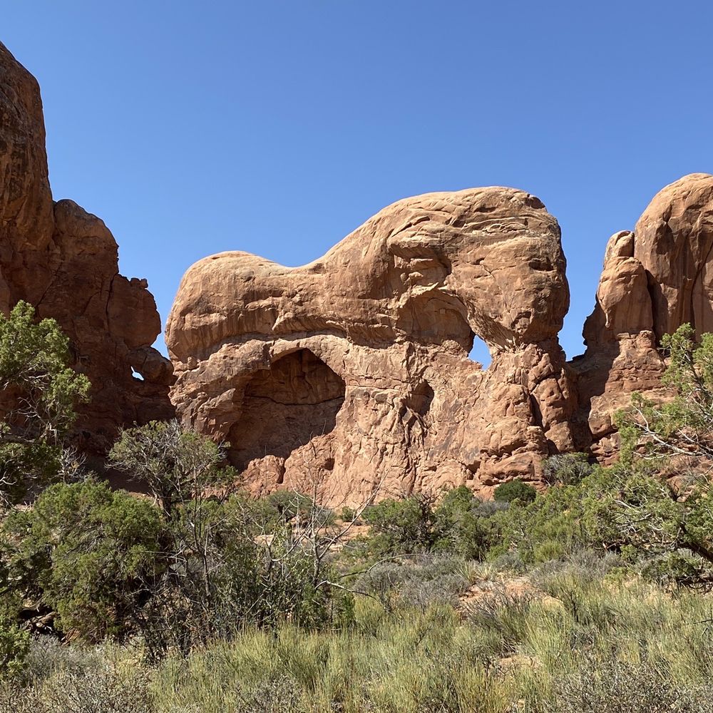 Double Arch - The "elephant" along the Double Arch trail - Can you see it? - Hiking Near Me - Utah, Utah
