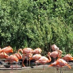 Zoo Schwerin