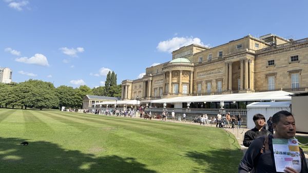 Buckingham Palace by null