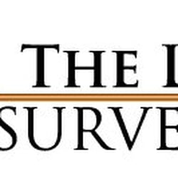 The Land Surveyors - logo