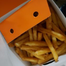 Regular fries