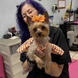 Heart To Heart Pet Grooming