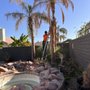 Photo of Luis Tree Service