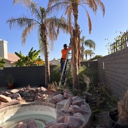 Luis Tree Service