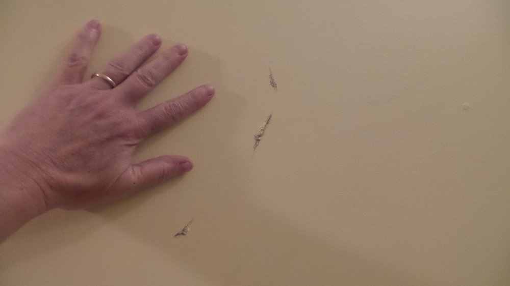 CANADIAN APPLIANCE SOURCE EDMONTON Updated October 2024 23 Reviews 3803 Calgary Trail NW