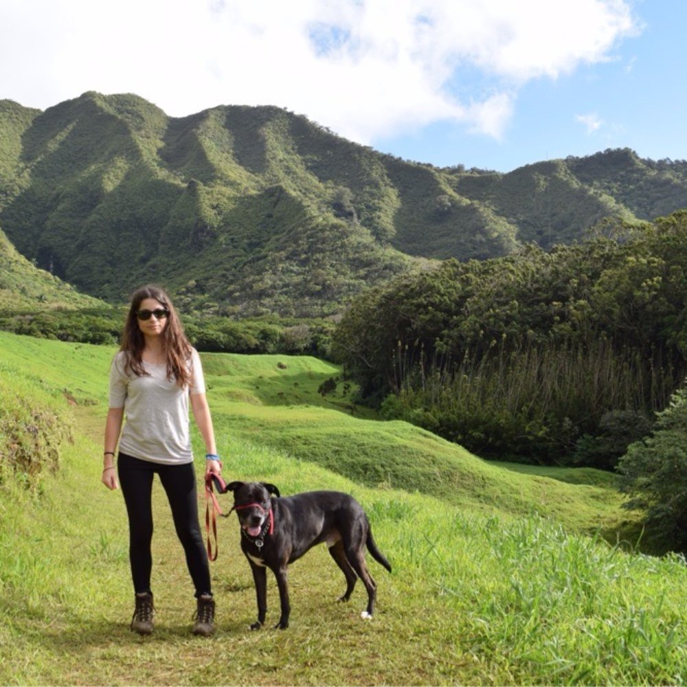 Lulumahu Falls - Hiking Near Me - Honolulu, Hawaii Lulumahu Falls - Hiking Near Me - Honolulu, Hawaii