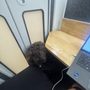 WeWork - Palo Alto
